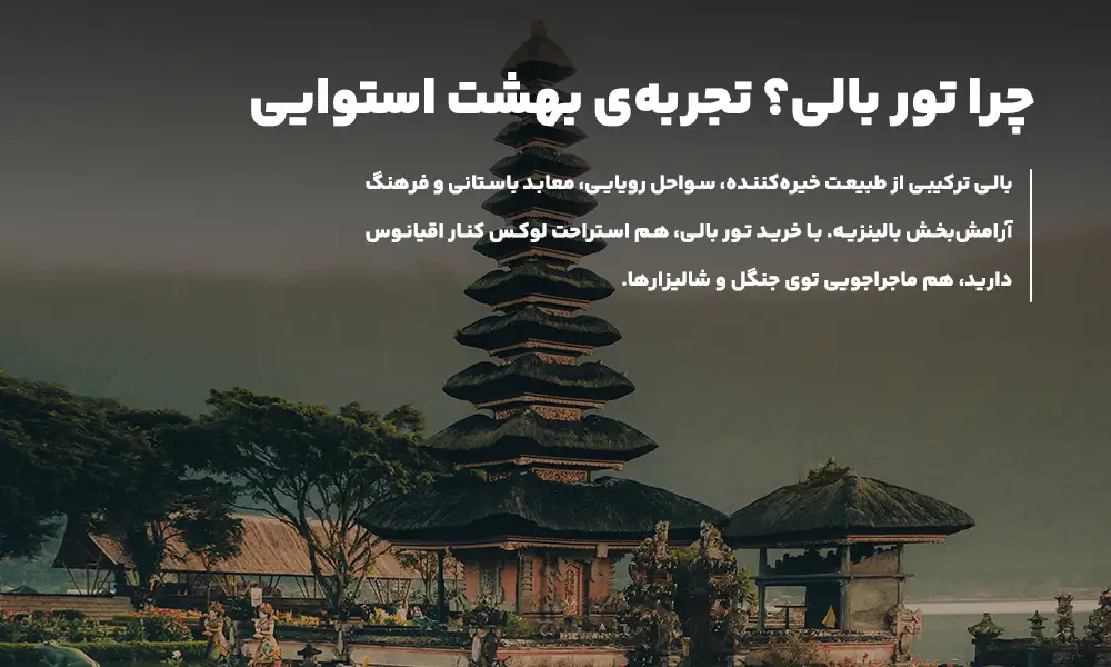 درباره تور بالی