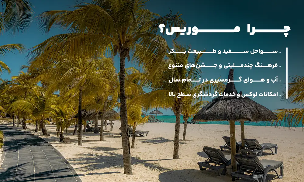 درباره تور موریس