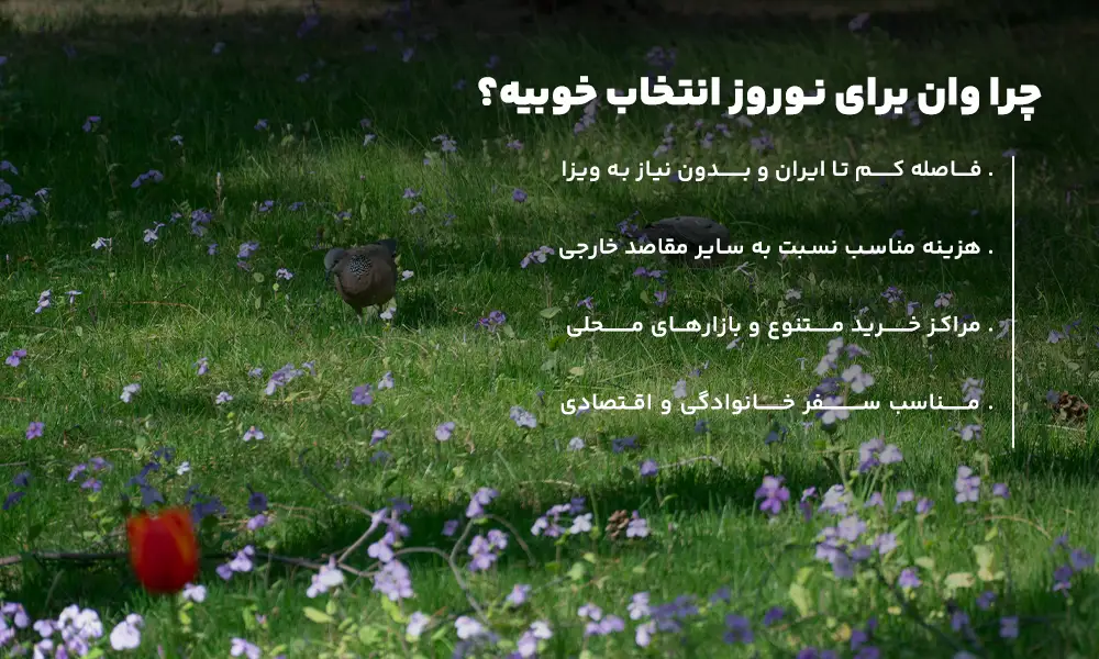 انواع تور وان نوروز